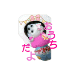 ちゃなな（個別スタンプ：11）