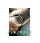 ターボとハイネ（個別スタンプ：5）