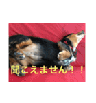 ターボとハイネ（個別スタンプ：6）