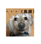ターボとハイネ（個別スタンプ：7）