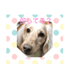 ターボとハイネ（個別スタンプ：12）