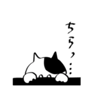 だいたい笑っているねこちゃんスタンプ（個別スタンプ：3）