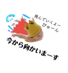 EISHI:)2（個別スタンプ：14）