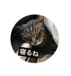 我が家のハッピースタンプその二（個別スタンプ：1）