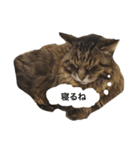 我が家のハッピースタンプその二（個別スタンプ：2）