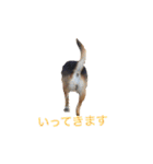 へんなりお（個別スタンプ：6）