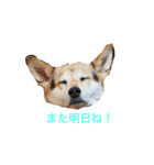 へんなりお（個別スタンプ：10）