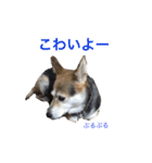 へんなりお（個別スタンプ：16）
