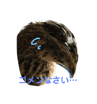 ロイちゃんスタンプ（個別スタンプ：4）