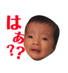 わんぱく兄妹（個別スタンプ：16）
