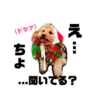 しぇりすたんぷ（個別スタンプ：2）