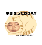 待望のえにぼうstamp（個別スタンプ：18）