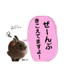 待望のえにぼうstamp（個別スタンプ：29）