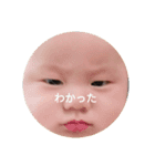 だいちはるき（個別スタンプ：1）