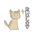 ほうじ茶ねこ（個別スタンプ：12）