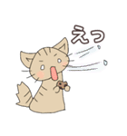 ほうじ茶ねこ（個別スタンプ：19）