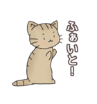 ほうじ茶ねこ（個別スタンプ：21）