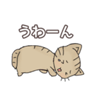 ほうじ茶ねこ（個別スタンプ：23）