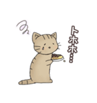 ほうじ茶ねこ（個別スタンプ：28）