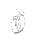 猫も言いたいことがある。（個別スタンプ：3）