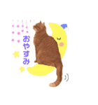 チロちゃんその3（個別スタンプ：9）