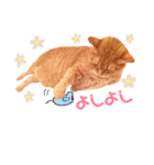 チロちゃんその3（個別スタンプ：18）
