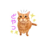 チロちゃんその3（個別スタンプ：22）
