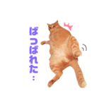 チロちゃんその3（個別スタンプ：32）