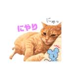 チロちゃんその3（個別スタンプ：39）