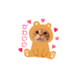 チロちゃんその3（個別スタンプ：40）
