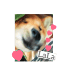 太郎とLaLa2（個別スタンプ：9）