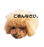 チューちゃんスタンプ（個別スタンプ：11）