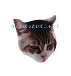にゃーお！（個別スタンプ：8）