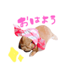 りりー＆ベルの日常 Part2（個別スタンプ：3）