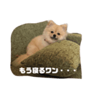 ふう＆うさこ（個別スタンプ：1）