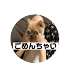 ふう＆うさこ（個別スタンプ：8）