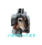 りくじぃの日常（個別スタンプ：6）