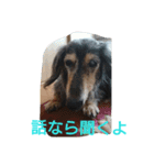 りくじぃの日常（個別スタンプ：7）