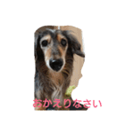 りくじぃの日常（個別スタンプ：8）