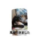 りくじぃの日常（個別スタンプ：11）