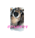 りくじぃの日常（個別スタンプ：13）