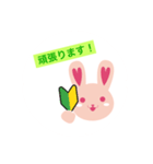 坂戸いずみスタジオのうさぎちゃんスタンプ（個別スタンプ：2）