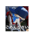 登山犬 茶々丸 スタンプ2（個別スタンプ：13）
