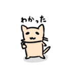 ネコのスタンプ=ↀωↀ=（個別スタンプ：30）