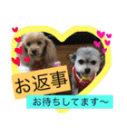 きなことセバスチャン（個別スタンプ：5）