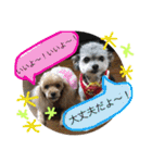 きなことセバスチャン（個別スタンプ：6）