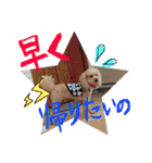 きなことセバスチャン（個別スタンプ：7）