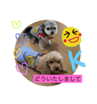 きなことセバスチャン（個別スタンプ：10）