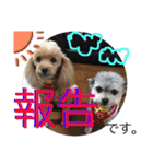 きなことセバスチャン（個別スタンプ：12）