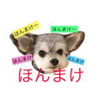 きなことセバスチャン（個別スタンプ：15）